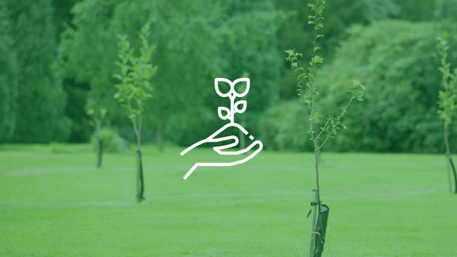 Newly planted trees and a graphic of a person holding a plant.